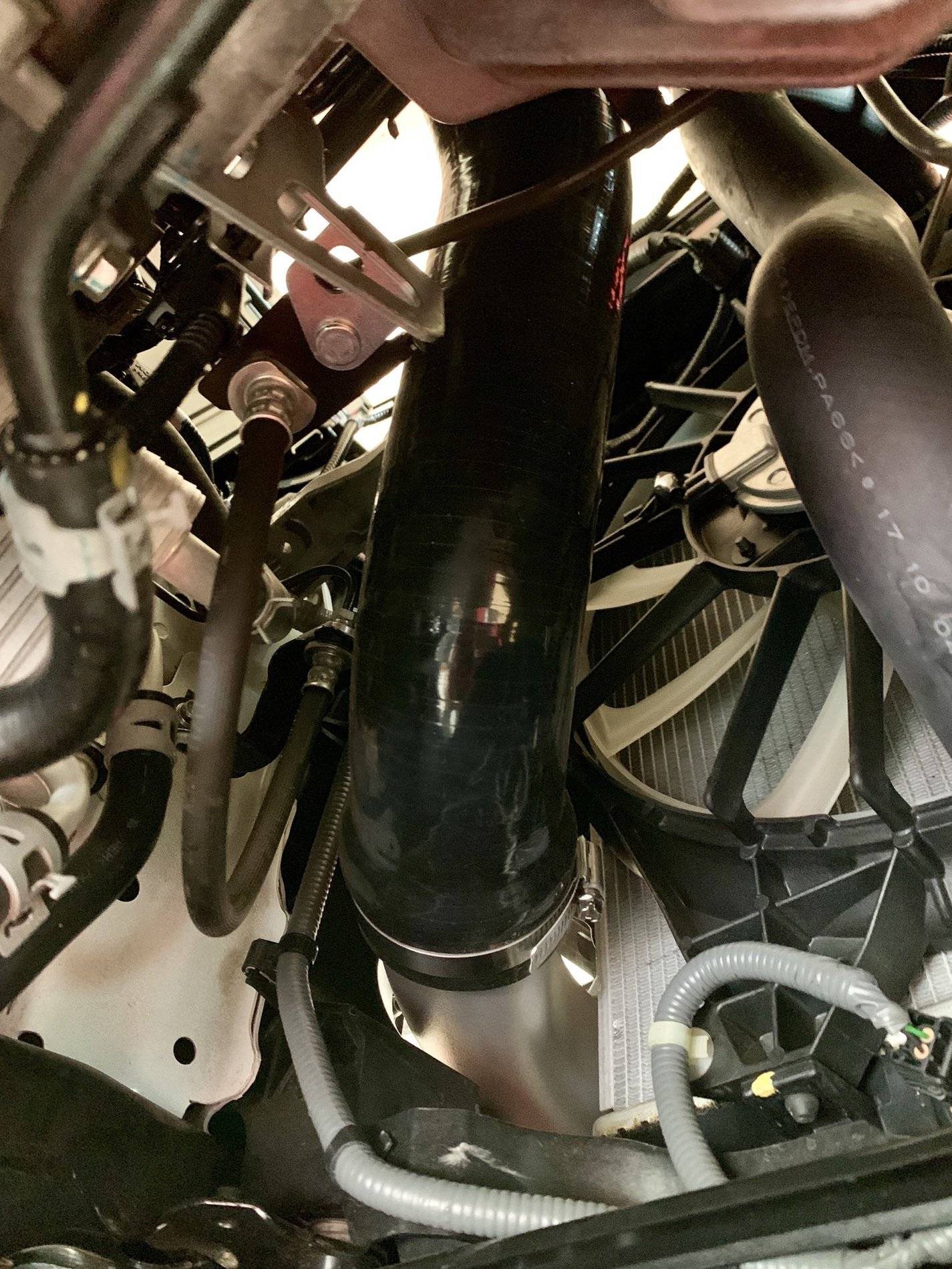 11th Gen Honda Civic PRL Motorsports 2017+ Honda Civic Type-R FK8 Charge Pipe Upgrade 35636007-D0B8-48CE-8B62-84778A23FC2E