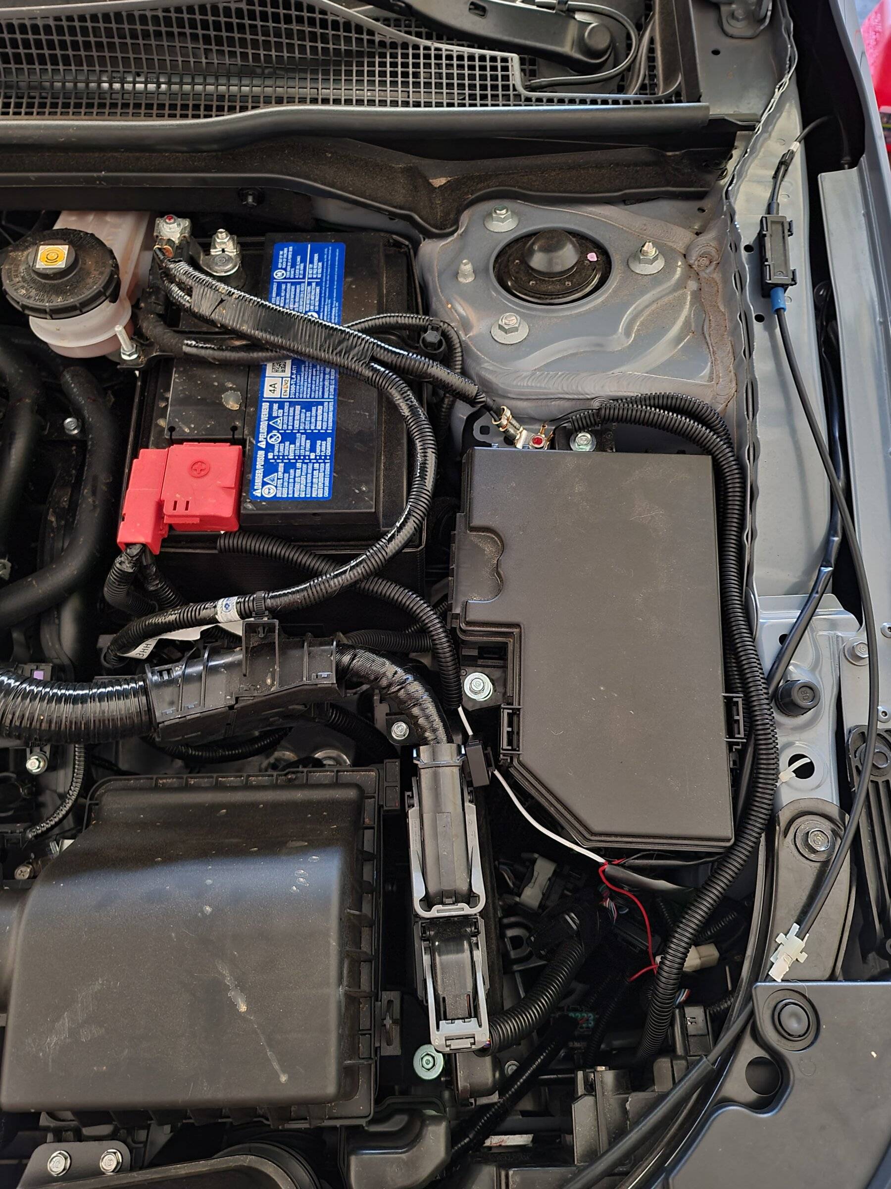 11th Gen Honda Civic Looking for 2022+ Civic Si OEM Fog Light Installation Help 20220326_155531