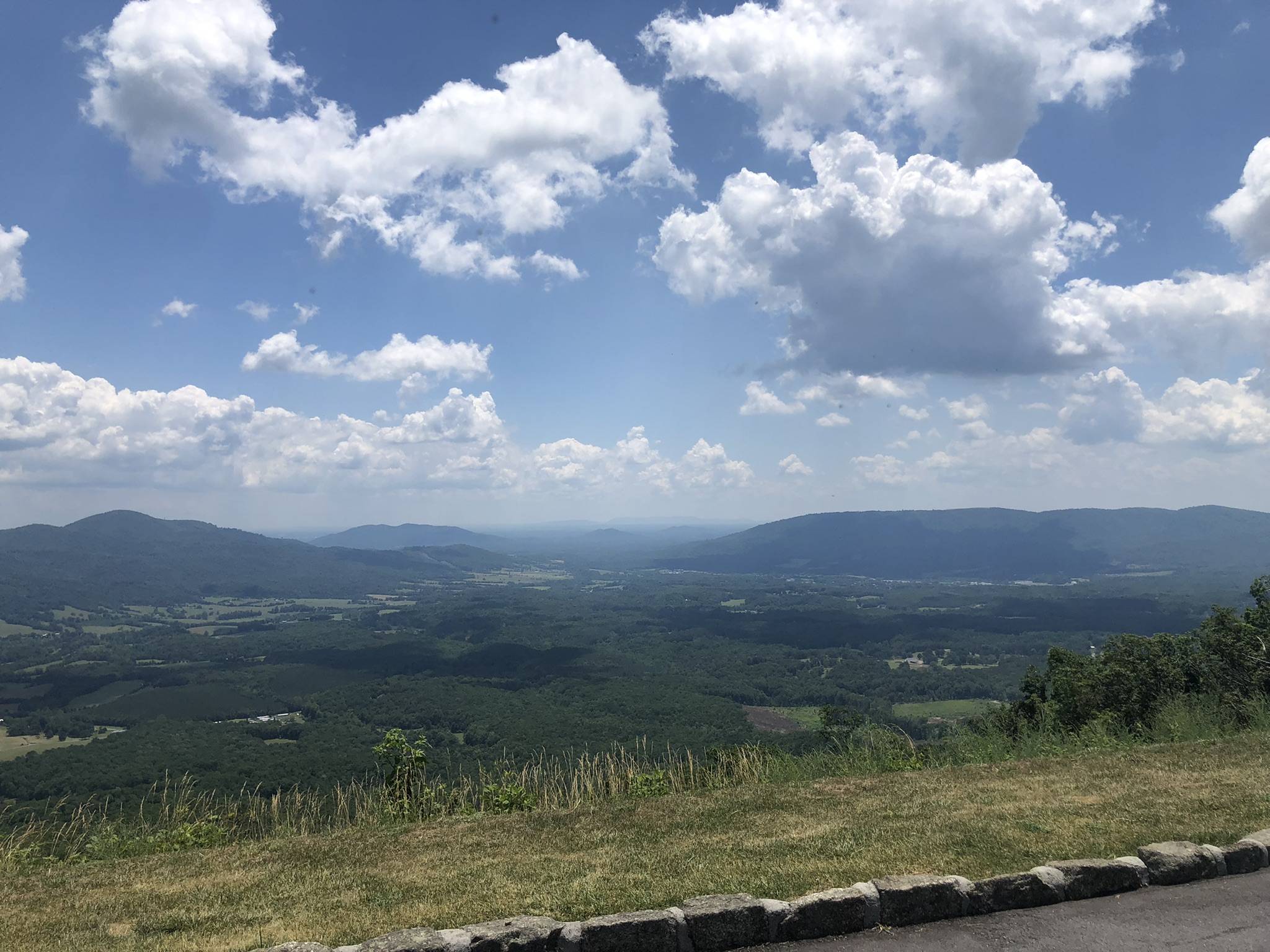 IMG_2100.jpeg