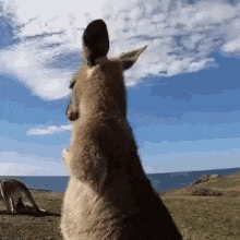 1656299051926.gif