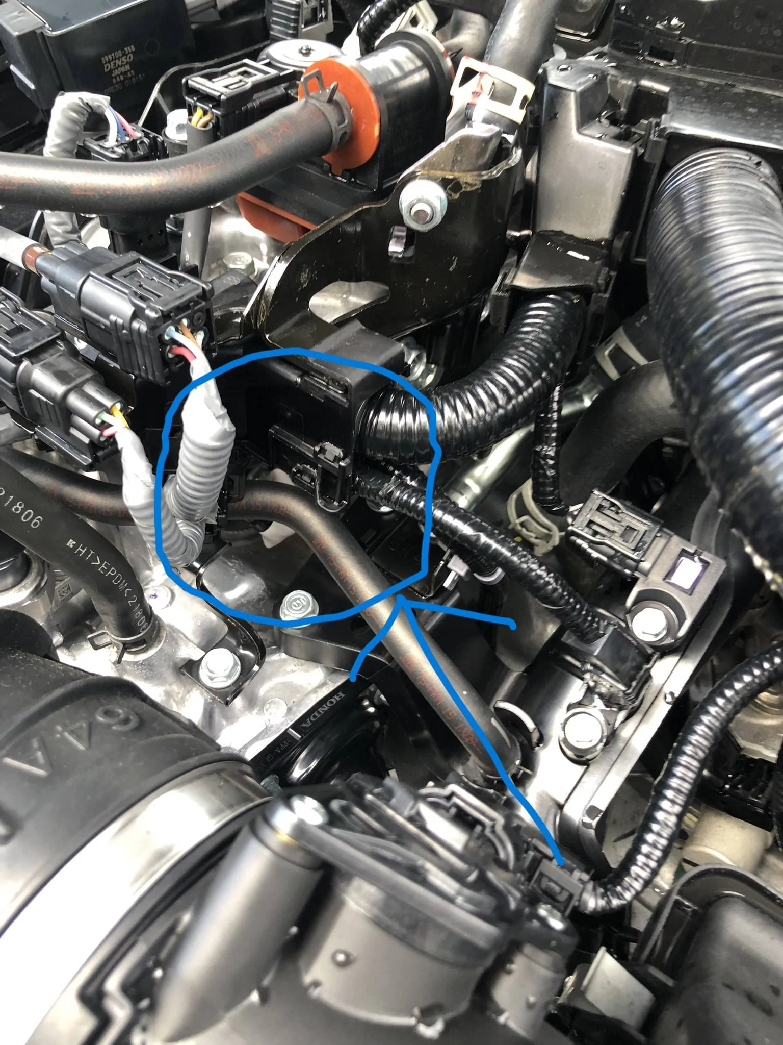 11th Gen Honda Civic Oil leak... on 2022 Civic Si with about 7500 mile IMG_2186