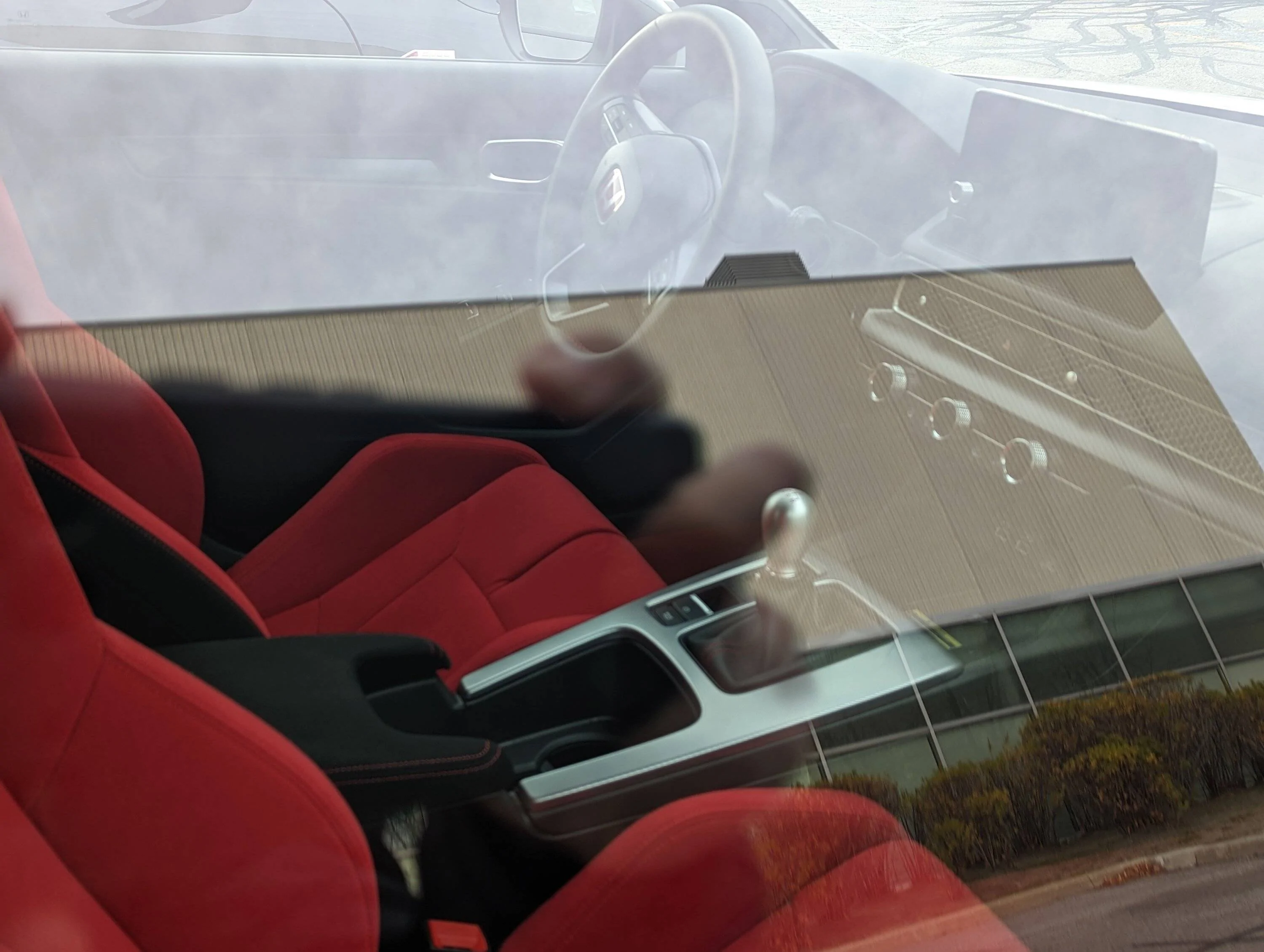PXL_20221111_131217512.PORTRAIT.webp