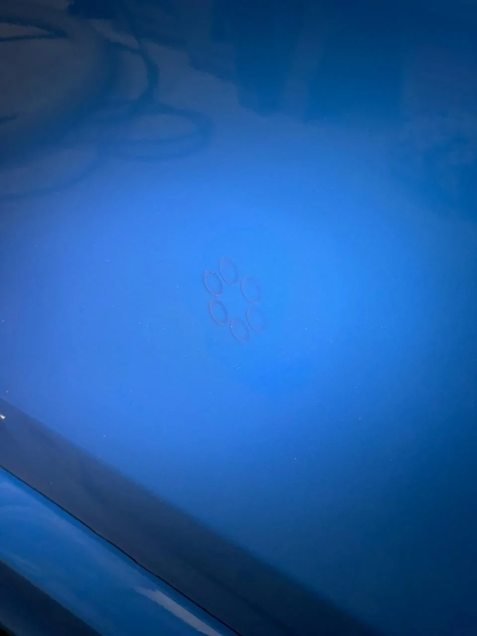 11th Gen Honda Civic Weird dust pattern on driver’s door BA566838-1CE3-4E68-985C-795B7A2DE9E4
