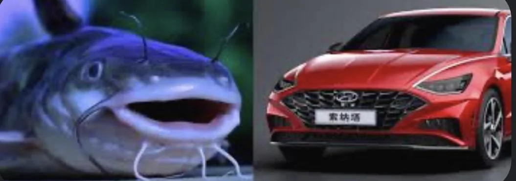 11th Gen Honda Civic Coming from an Elantra N IMG_3606