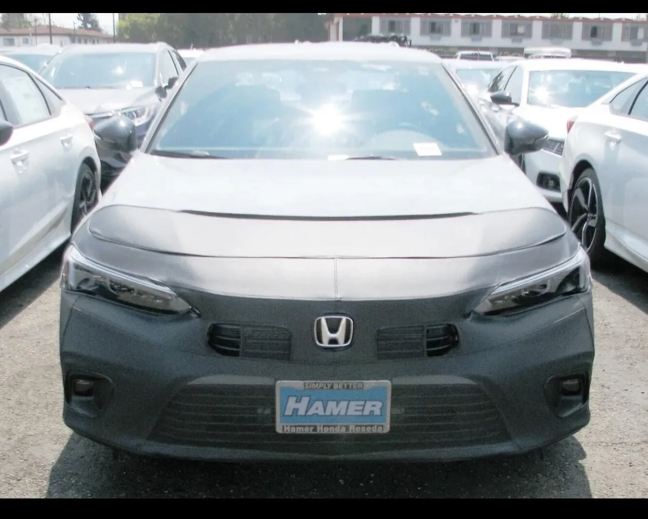 11th Gen Honda Civic What did you ppf? 73C2EC37-57E1-4FCB-9716-EEE0B5481455