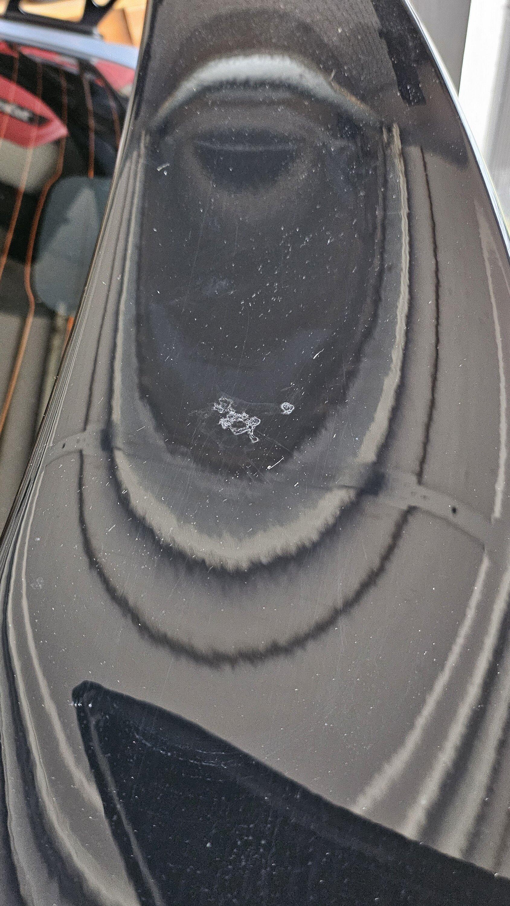 11th Gen Honda Civic Honda's "ceramic coating" vs Bird poop 20240304_170639