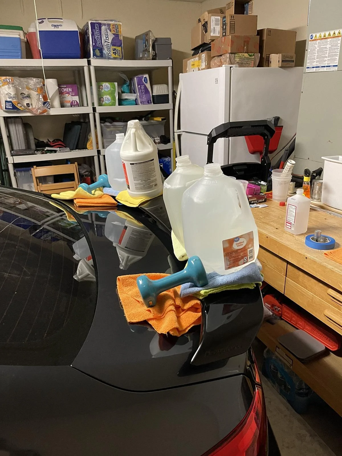 11th Gen Honda Civic Need Advice - Yofer Rear Spoiler Install IMG_3390