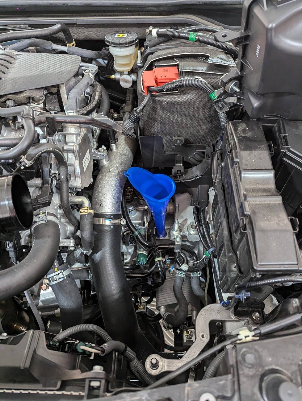 11th Gen Honda Civic *The FL5 Track Junkie Thread* PXL_20240924_154015040
