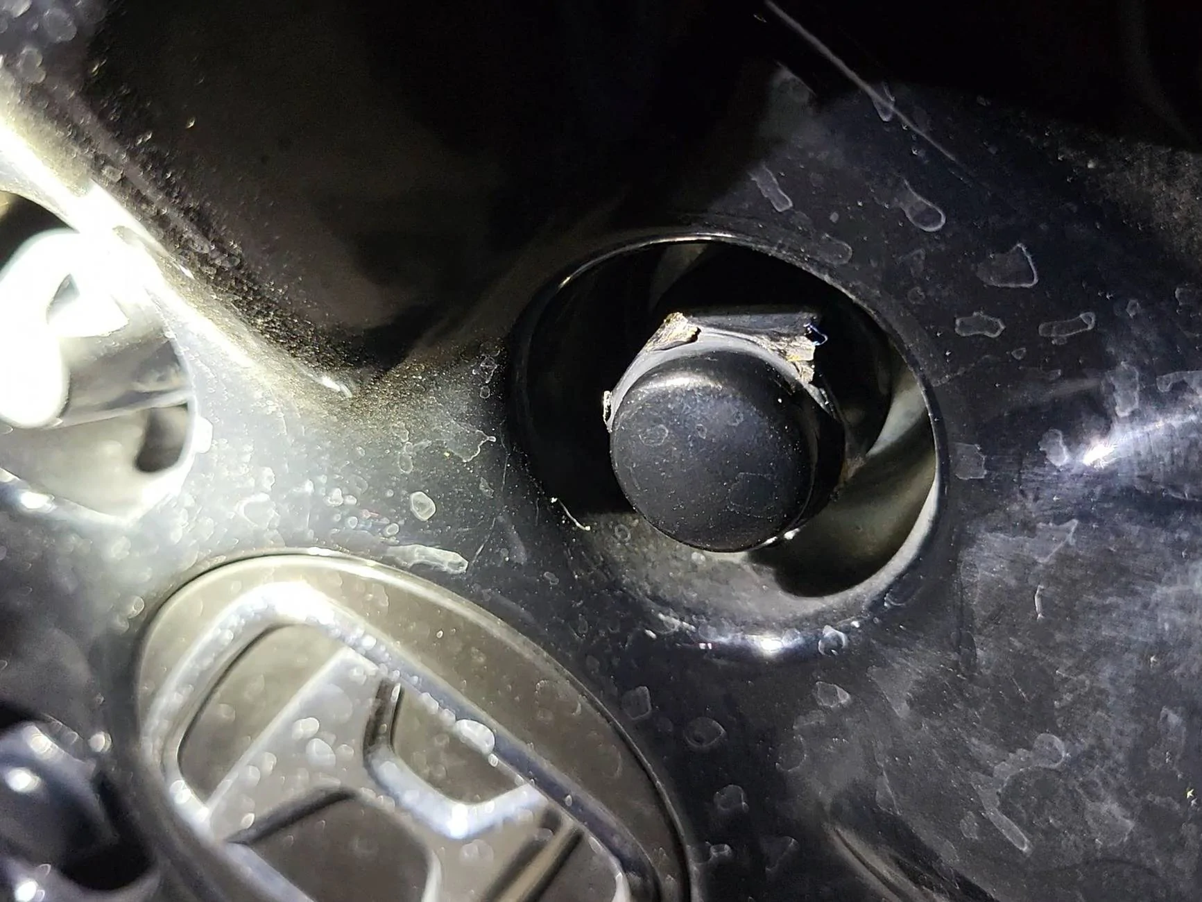 11th Gen Honda Civic What did you do to your CivicXI today?? 1000006148