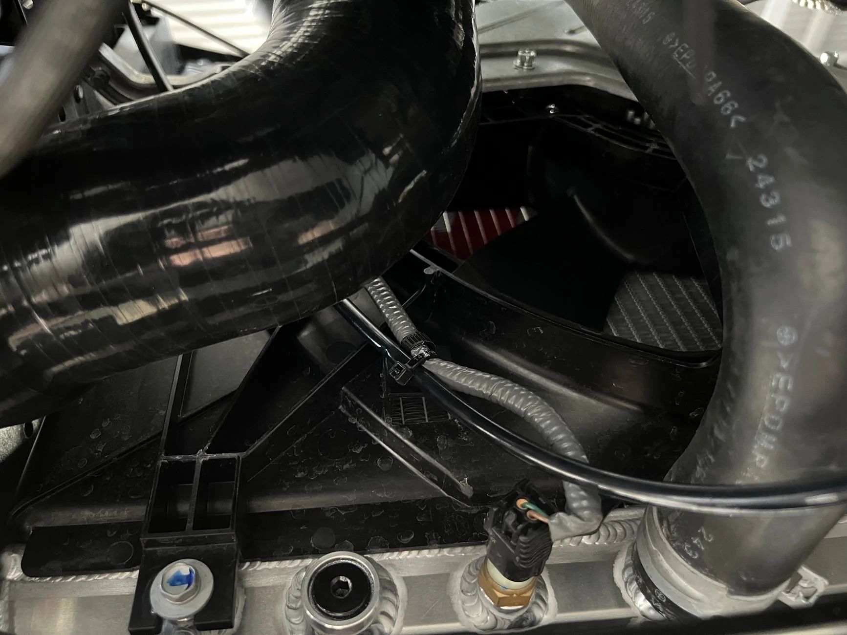 11th Gen Honda Civic 2024 REVWORX FL5 Type R Build IMG_4228