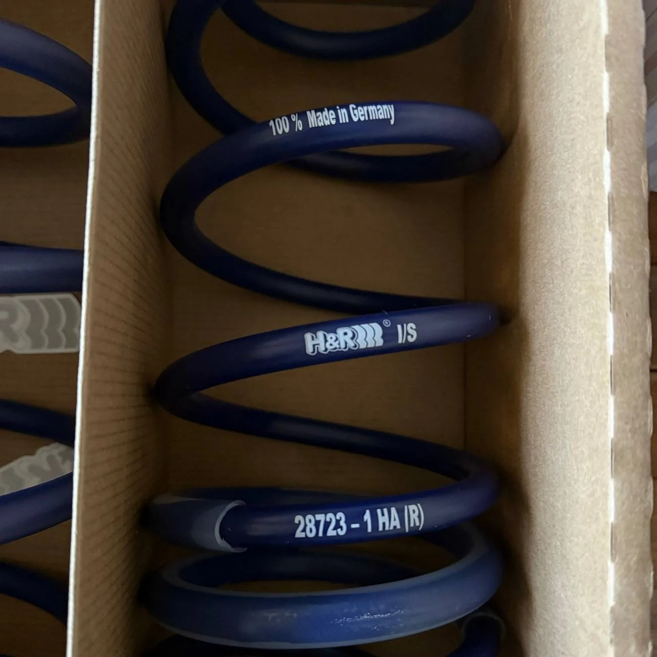 11th Gen Honda Civic Will 10th Gen H&R Springs fit on 11th Gen? IMG_4737