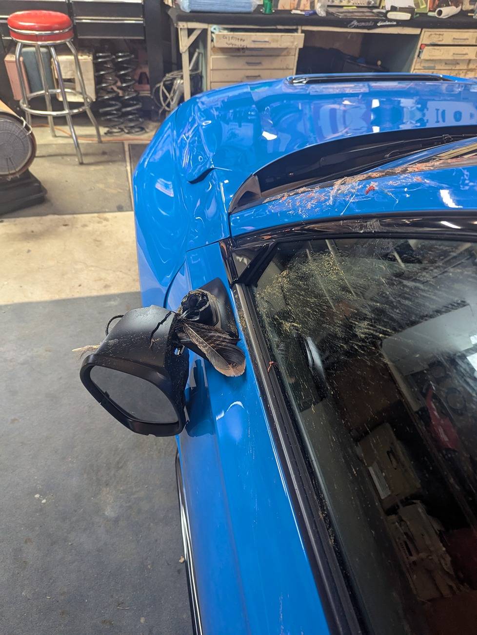 11th Gen Honda Civic A WILD TURKEY FLEW INTO MY CAR- DAMAGED HOOD, FENDER AND MIRROR 1000002235