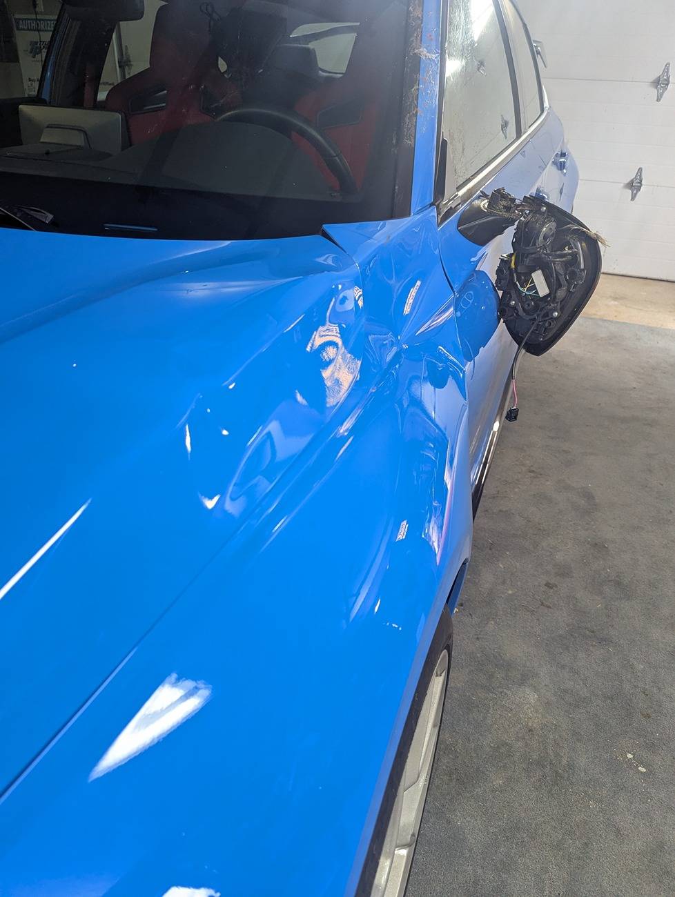 11th Gen Honda Civic A WILD TURKEY FLEW INTO MY CAR- DAMAGED HOOD, FENDER AND MIRROR 1000002233