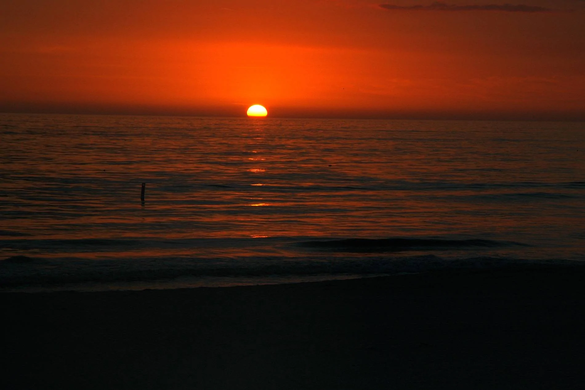 Florida 2006-03 019a.webp