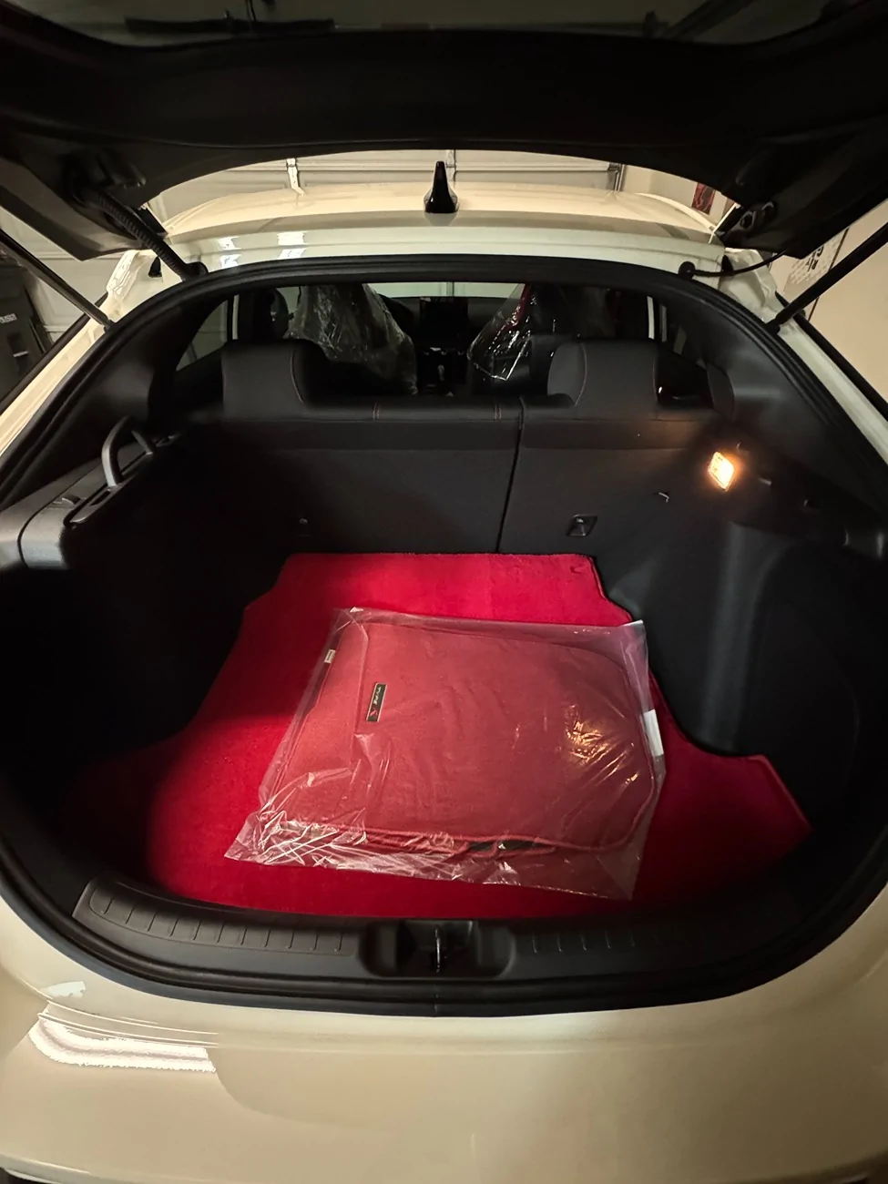 11th Gen Honda Civic Carpet trunk mat? IMG_1072