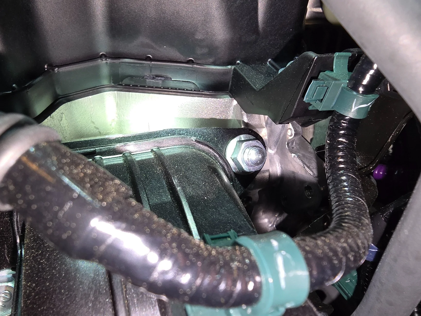 11th Gen Honda Civic HELP*** weird fluid leak from axle shaft bearing 20250830_153118