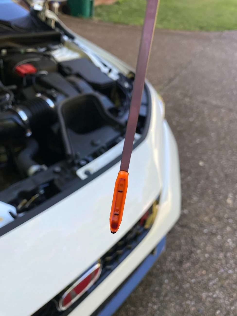 11th Gen Honda Civic Australia. What engine oil are you using in your type R ? 2025 FL5  5000 miles 10 months