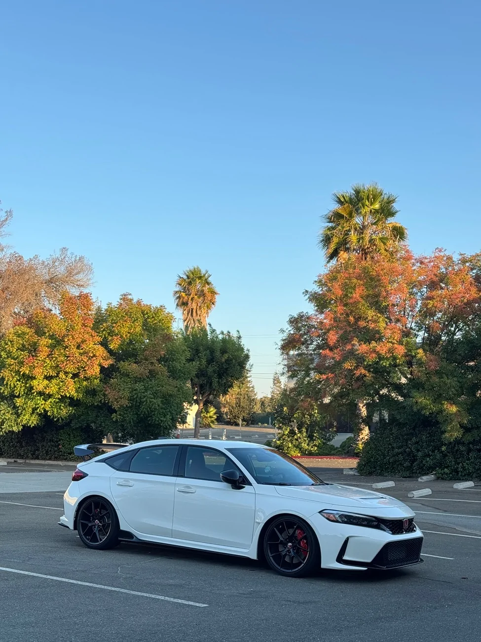11th Gen Honda Civic Eibach Pro Kit and/or Sportline Experiences IMG_5113