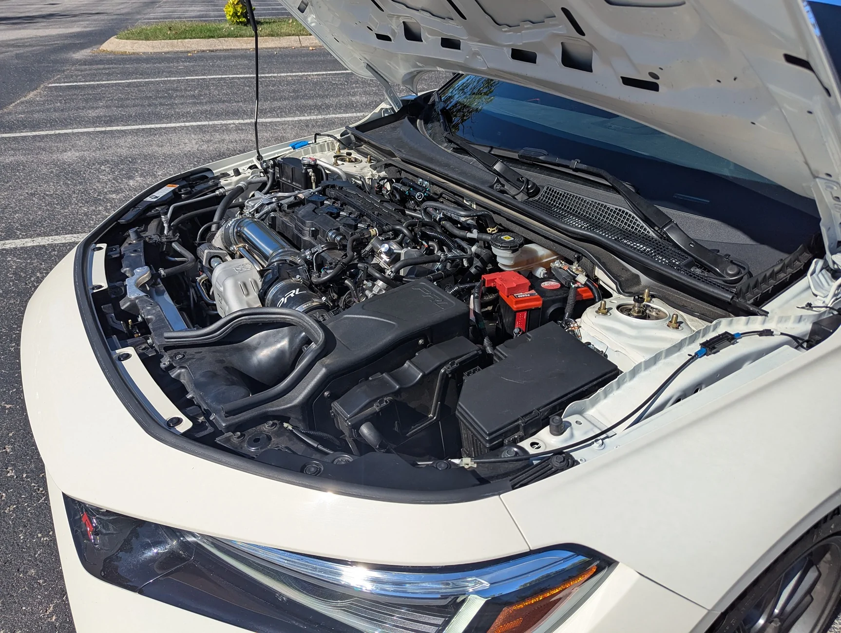 11th Gen Honda Civic ***SOLD*** - 2024 CW Civic Type R - 10k mi, Mild Street/Track Prep 1000022935