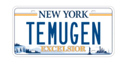 11th Gen Honda Civic FL5 Vanity Plate Hall of Fame scrnli_yaeaRT4xz7jU99
