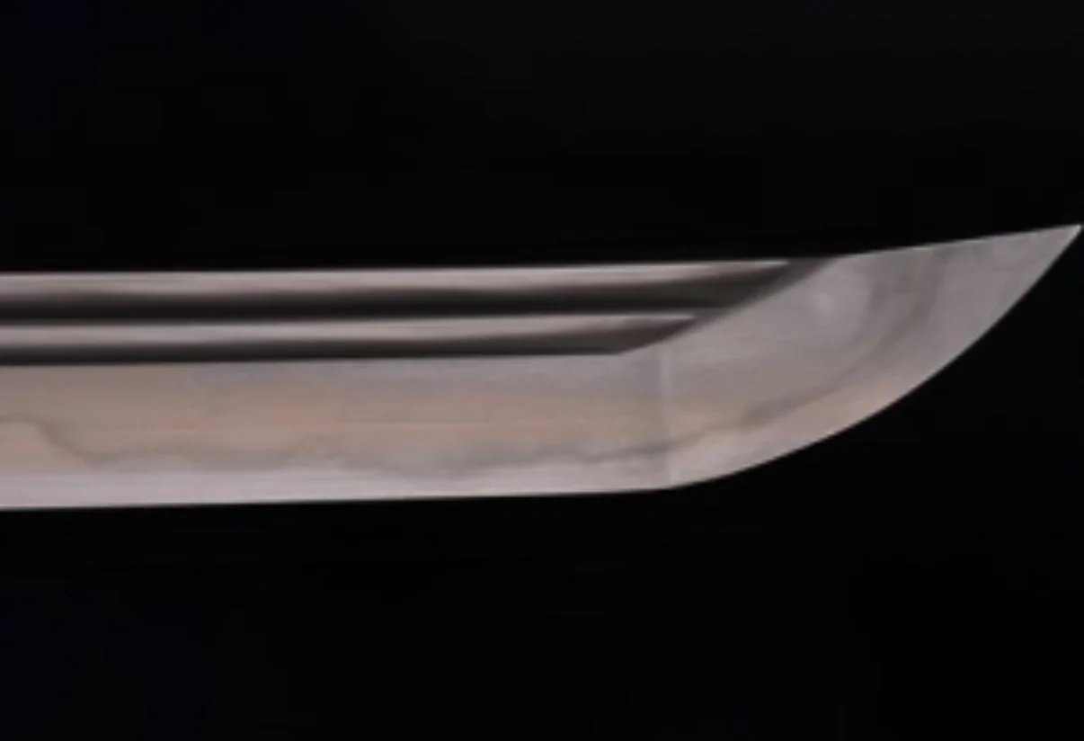 11th Gen Honda Civic Type R taillights (OEM) shaped like katana IMG_8282