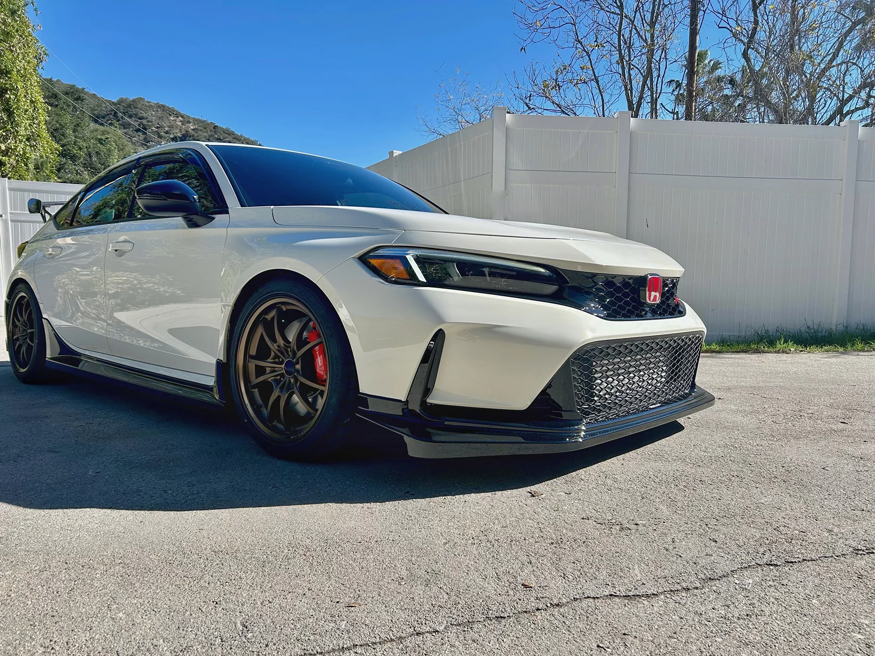 11th Gen Honda Civic What did you do to your FL5 today? IMG_5774