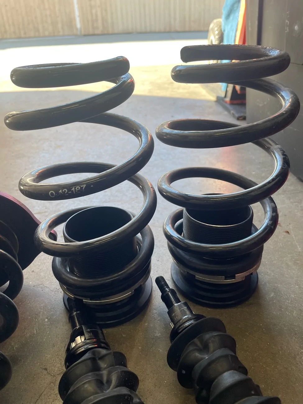 11th Gen Honda Civic F/S - D2 RS Coilovers for 10th & 11th Gen Civic IMG_2975