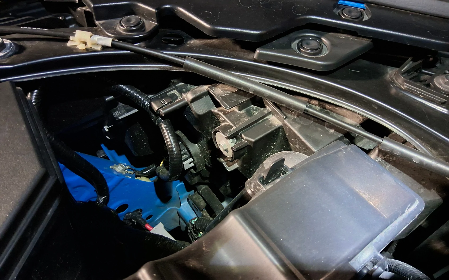 11th Gen Honda Civic Headlight Adjustment? 20251211_192224