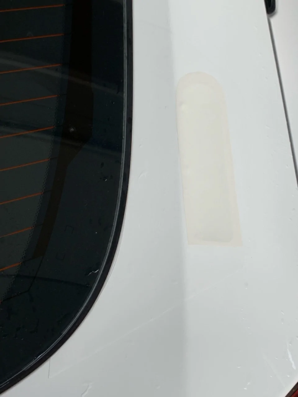 11th Gen Honda Civic Is anyone producing a wing delete kit yet WingDelete4