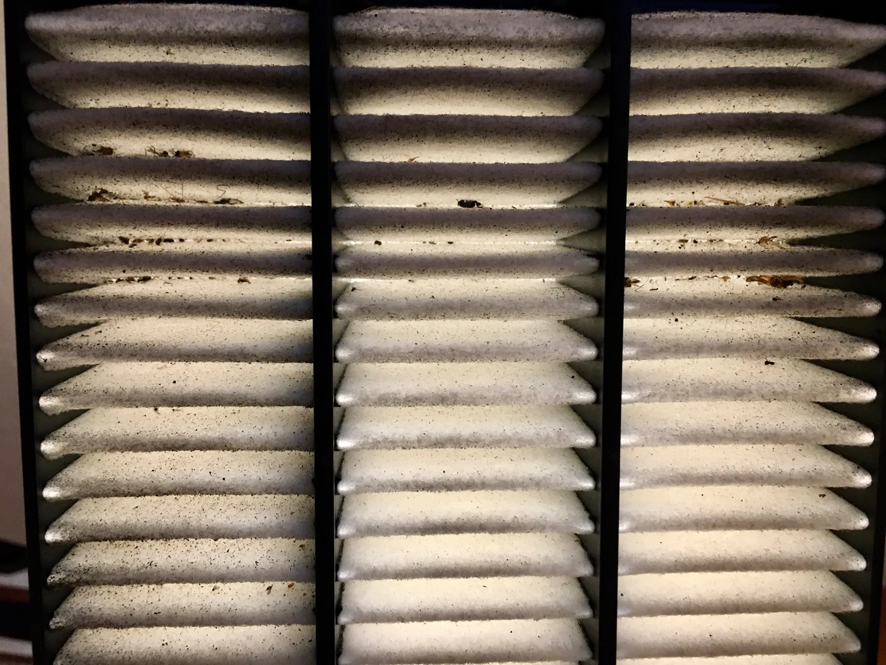 11th Gen Honda Civic AEM dryflow filter for PRL HVI intake IMG_5576