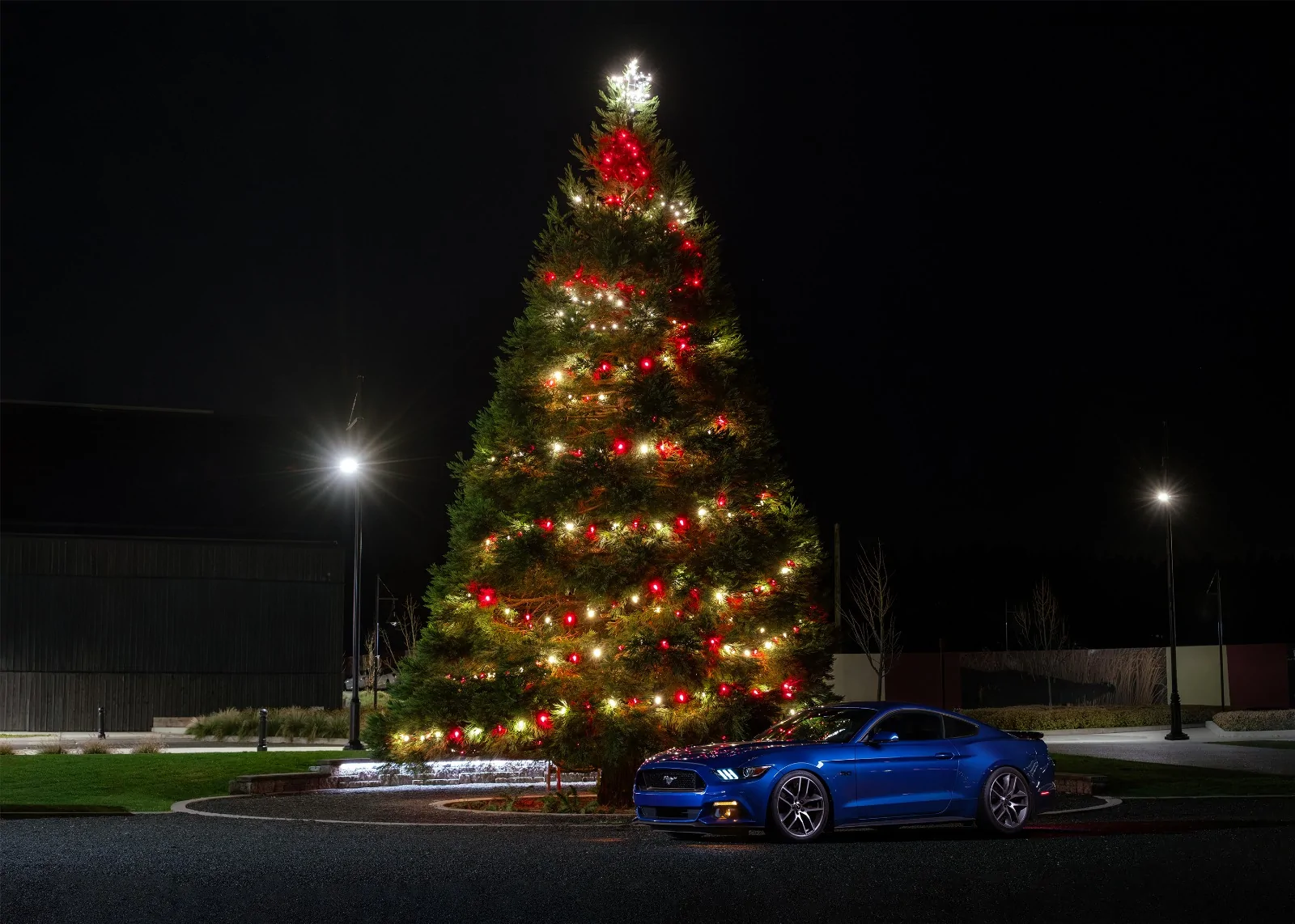 11th Gen Honda Civic alSpeed2k’s Type-R Build Journal 2025-12 Xmas Ken