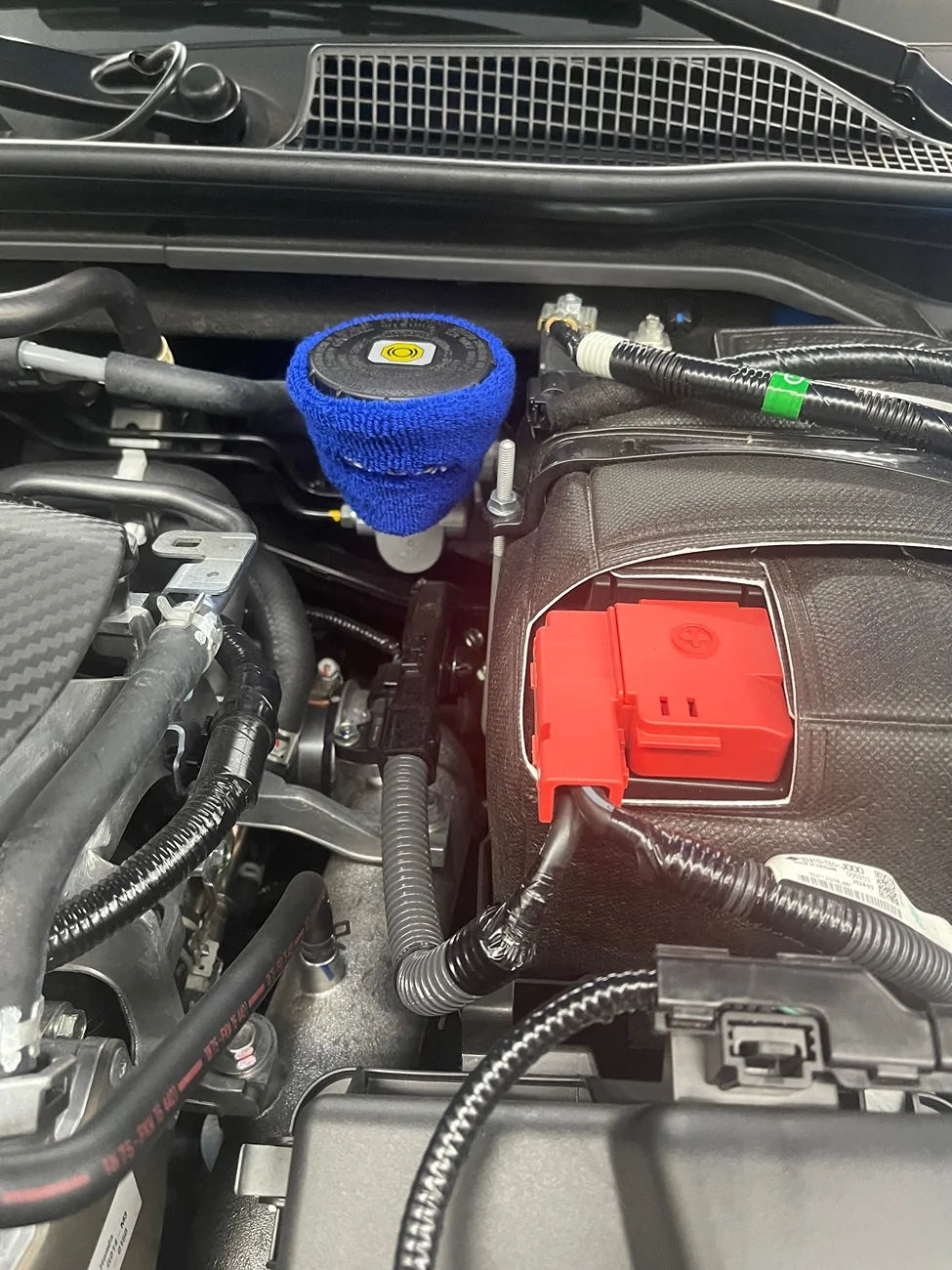 11th Gen Honda Civic Journal on 2024 Civic Type R 28362 IMG_3214