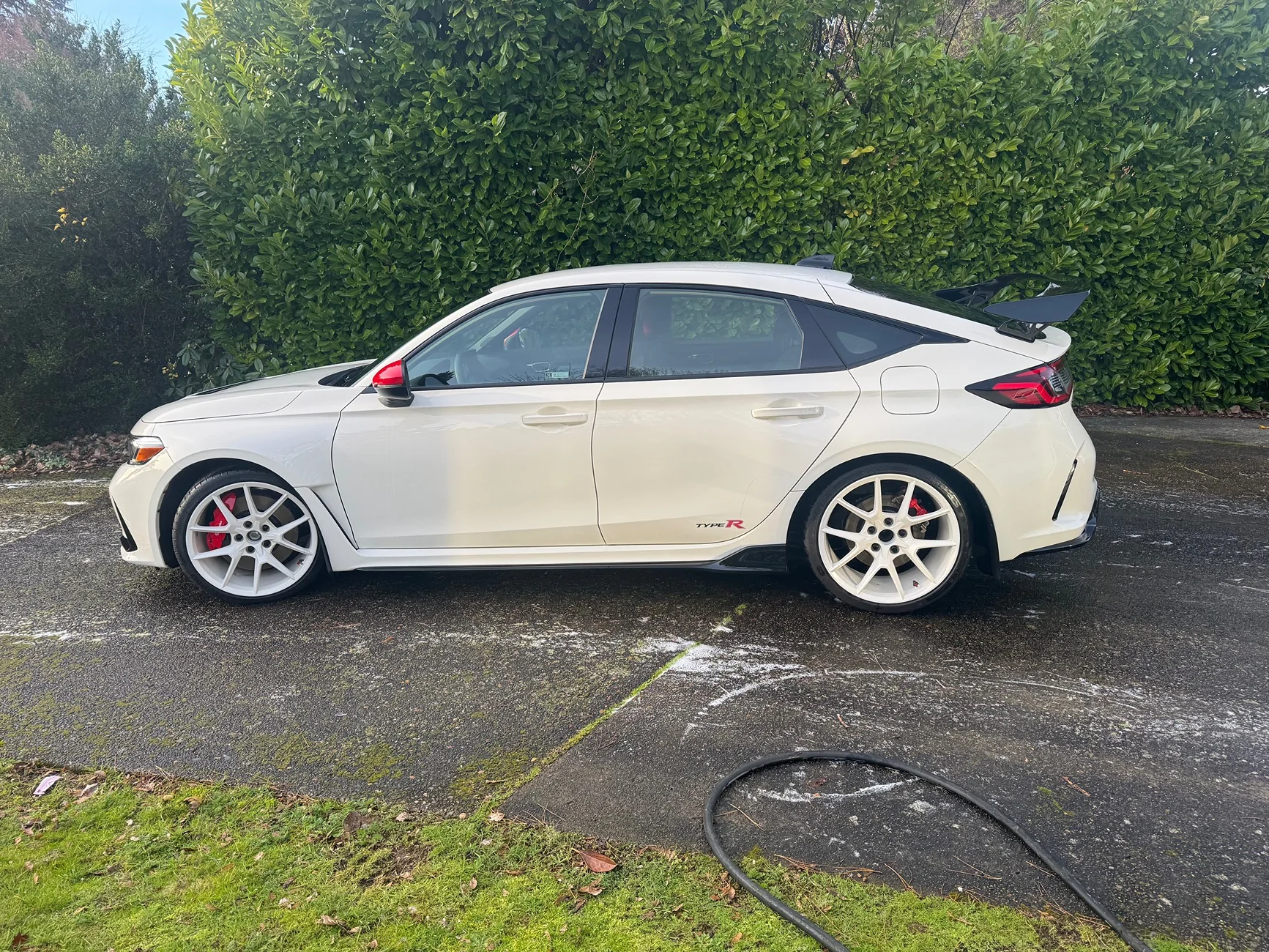 11th Gen Honda Civic Color Matched CW wheels- Powder Coated IMG_2551