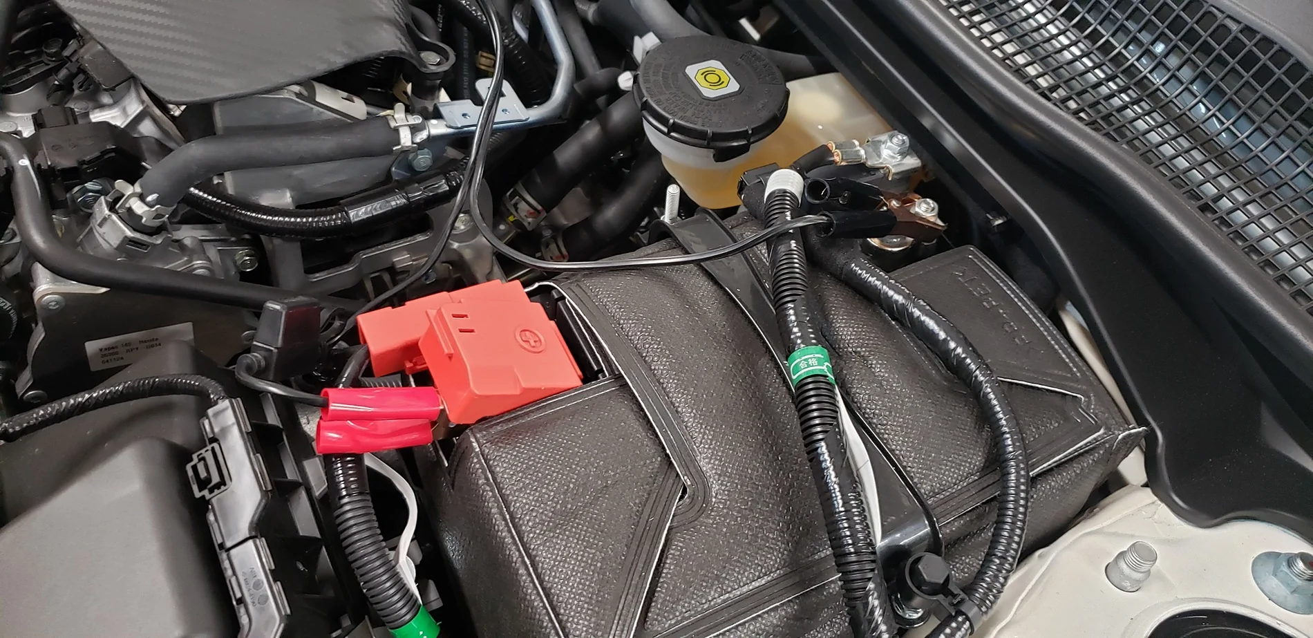 11th Gen Honda Civic Battery maintainer? 20260117_220848