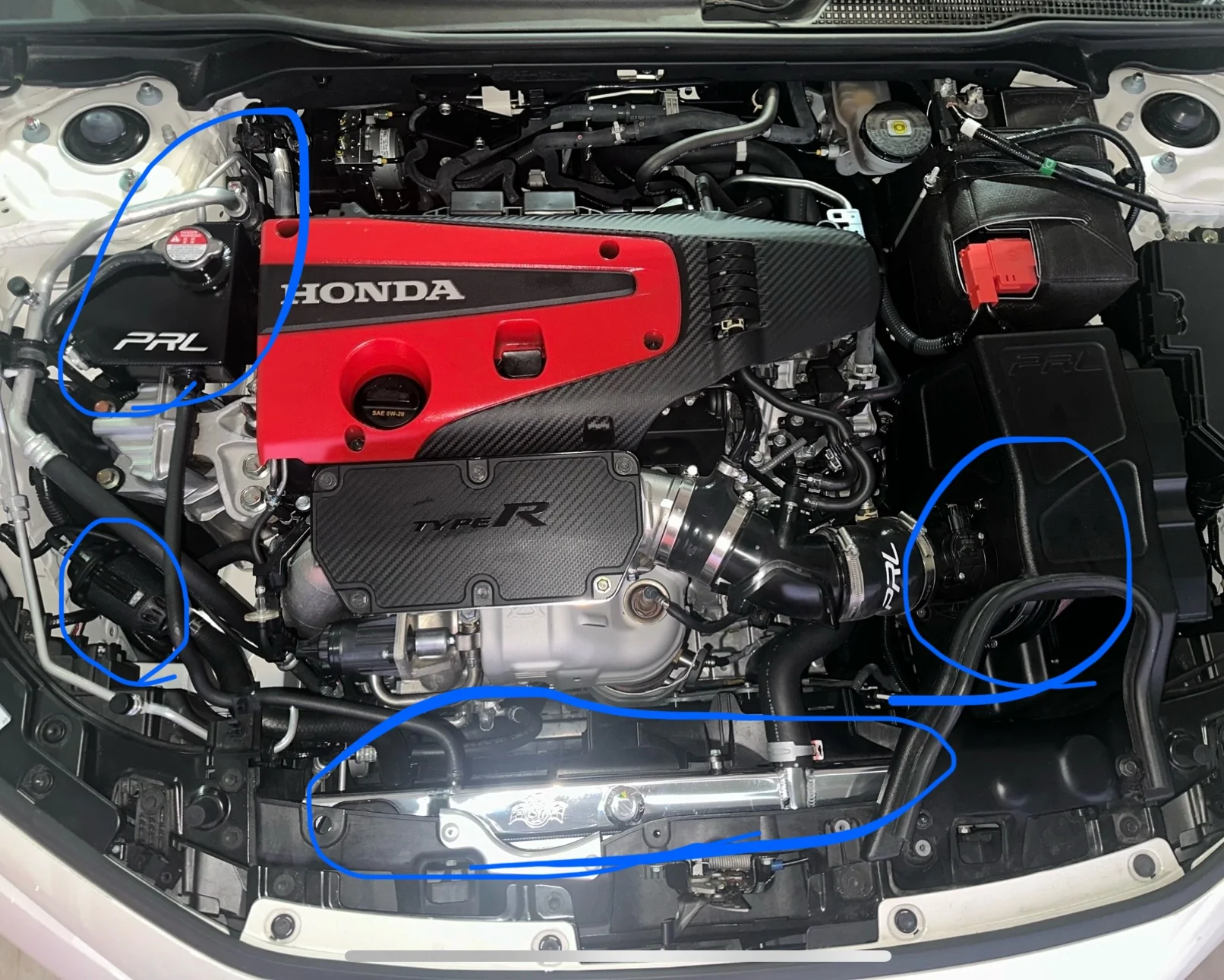 11th Gen Honda Civic South Florida 2025 CW Build Thread IMG_9632