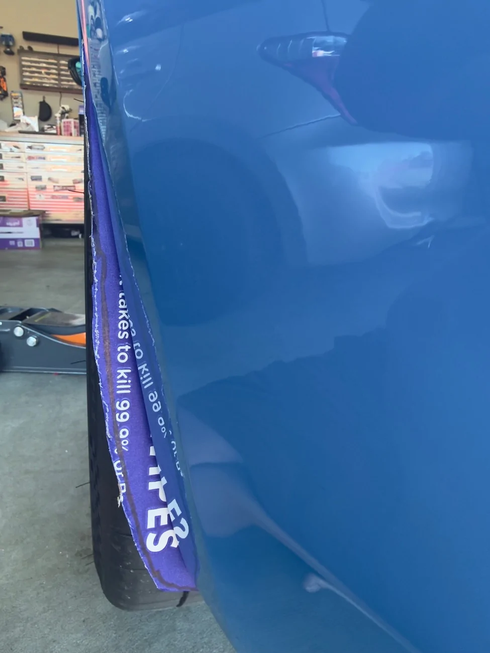 11th Gen Honda Civic Looking at rear splash guard IMG_4479