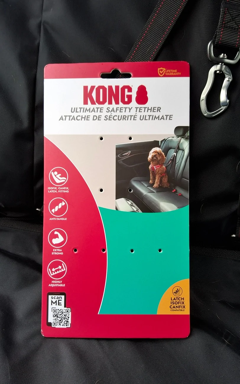 11th Gen Honda Civic Secure Your Puppy Dog!  Civic Dog Harness Thread. 20260309_143752