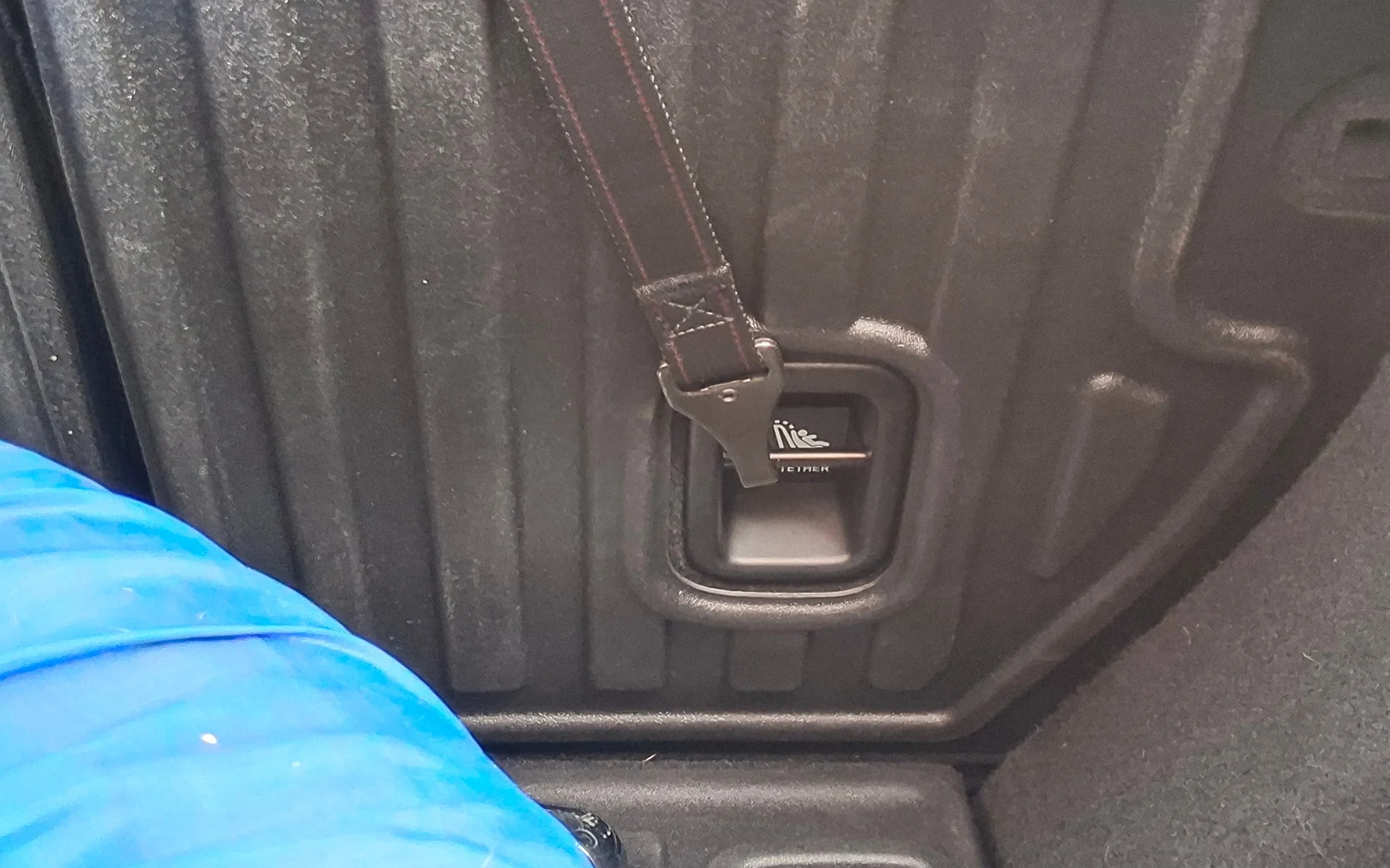 11th Gen Honda Civic Secure Your Puppy Dog!  Civic Dog Harness Thread. 20260309_130523