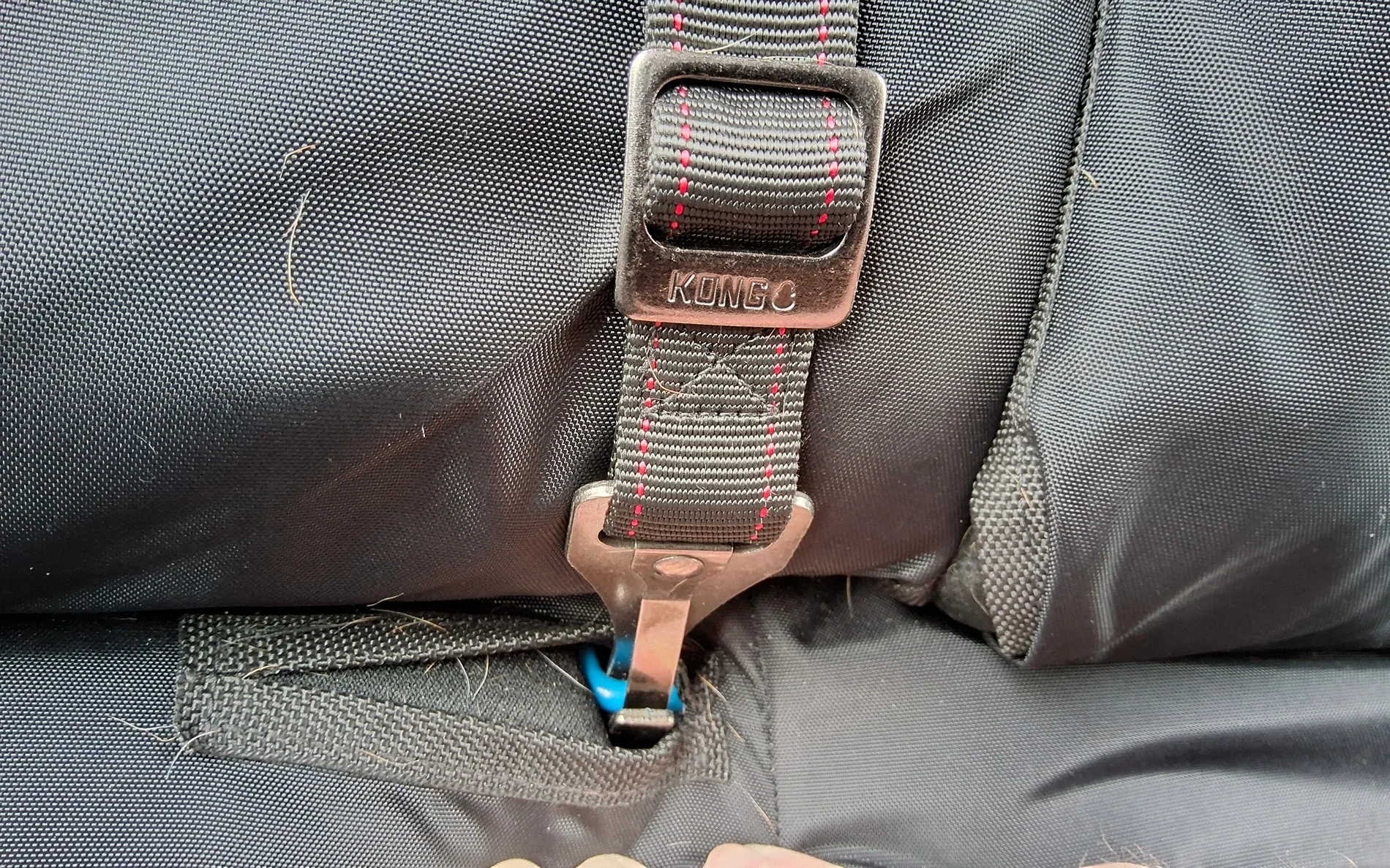 11th Gen Honda Civic Secure Your Puppy Dog!  Civic Dog Harness Thread. 20260309_143621