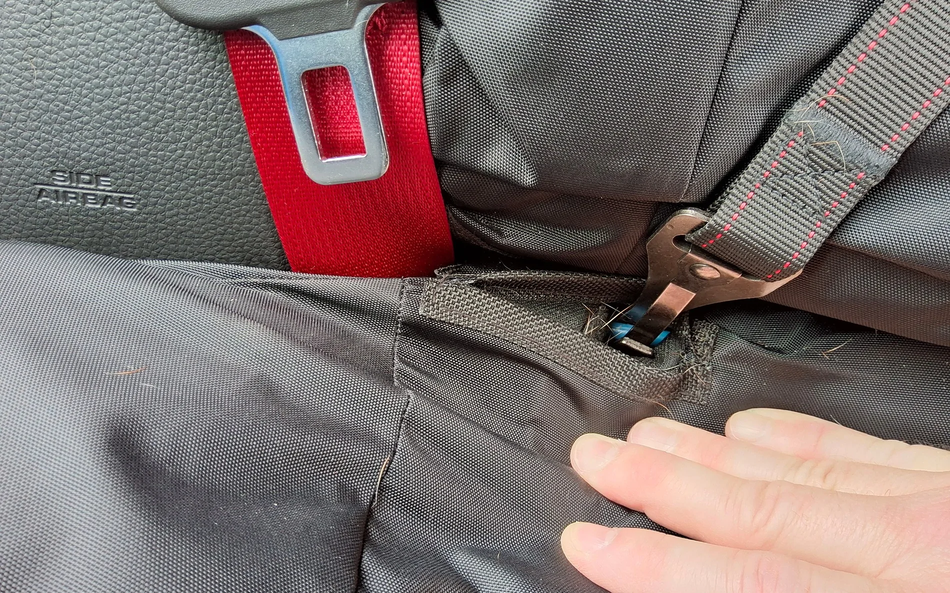11th Gen Honda Civic Secure Your Puppy Dog!  Civic Dog Harness Thread. 20260309_143646