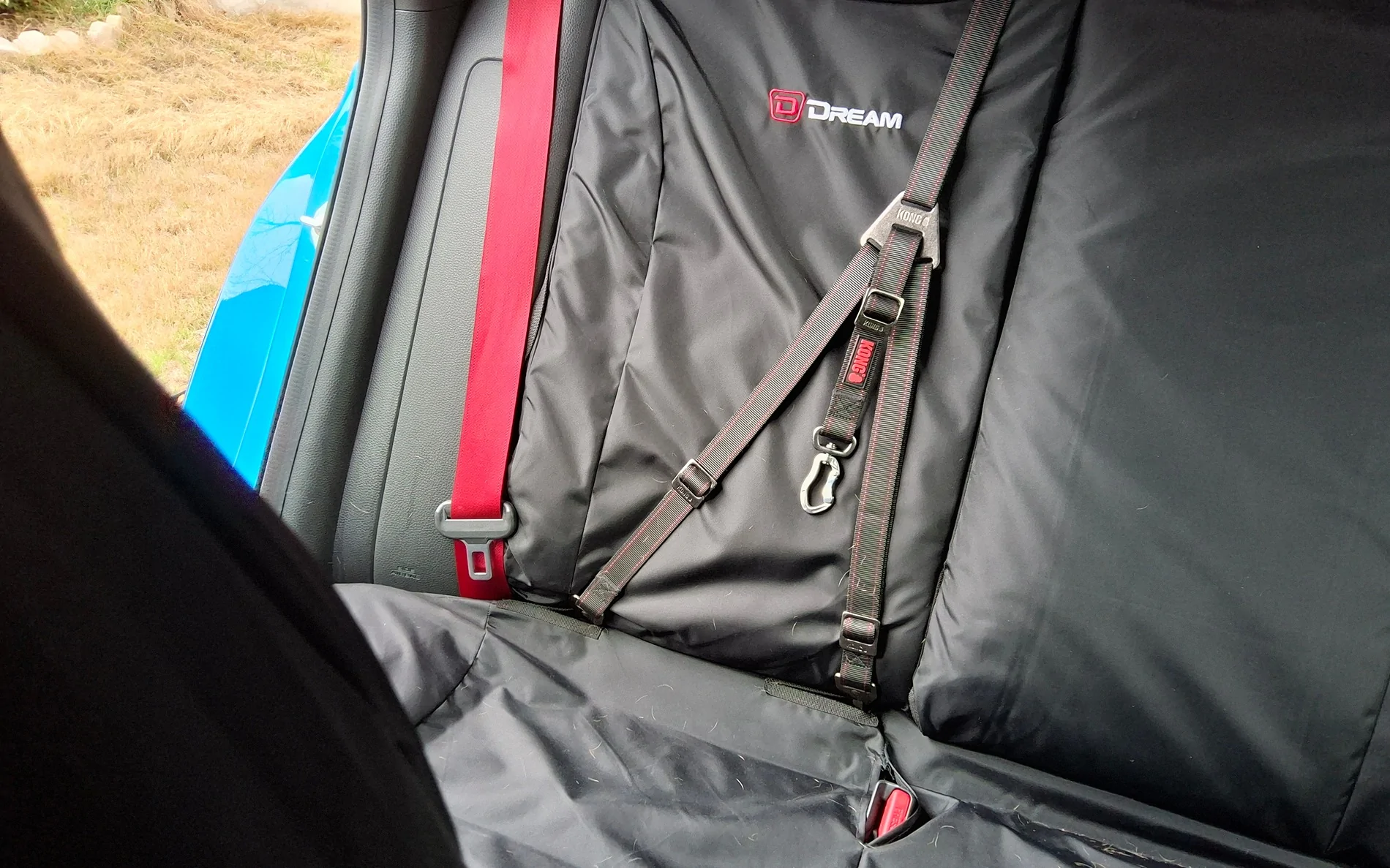 11th Gen Honda Civic Secure Your Puppy Dog!  Civic Dog Harness Thread. 20260309_143511