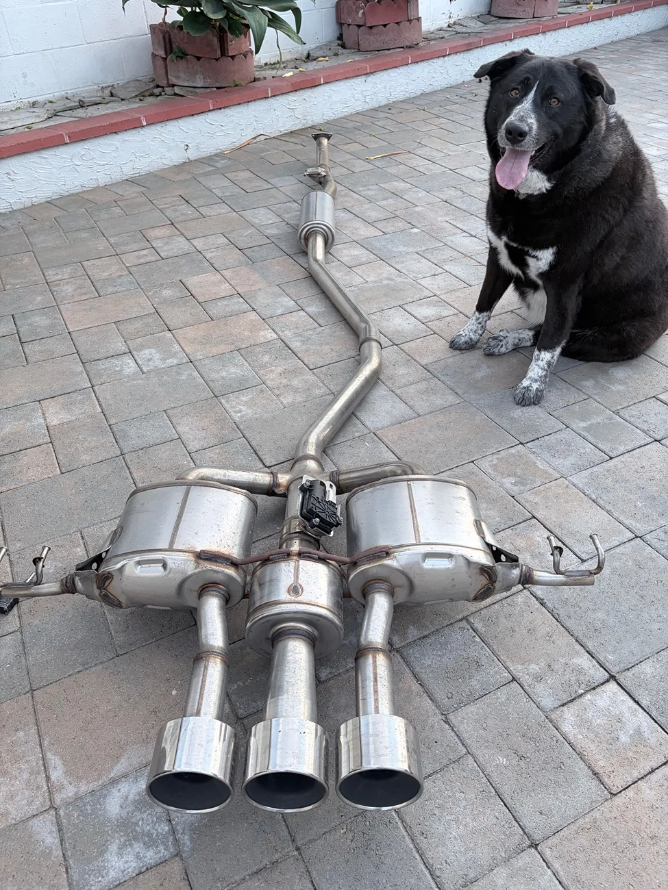 11th Gen Honda Civic SOLD - Stock DE5 Exhaust IMG_6692