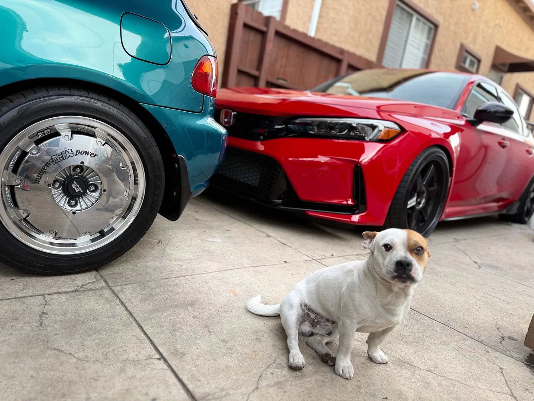 11th Gen Honda Civic Official Wheel Fitment Thread for 11th Gen FL5 Civic Type R IMG_3523