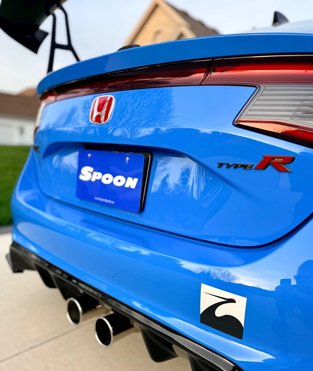 IMG_8197.webp