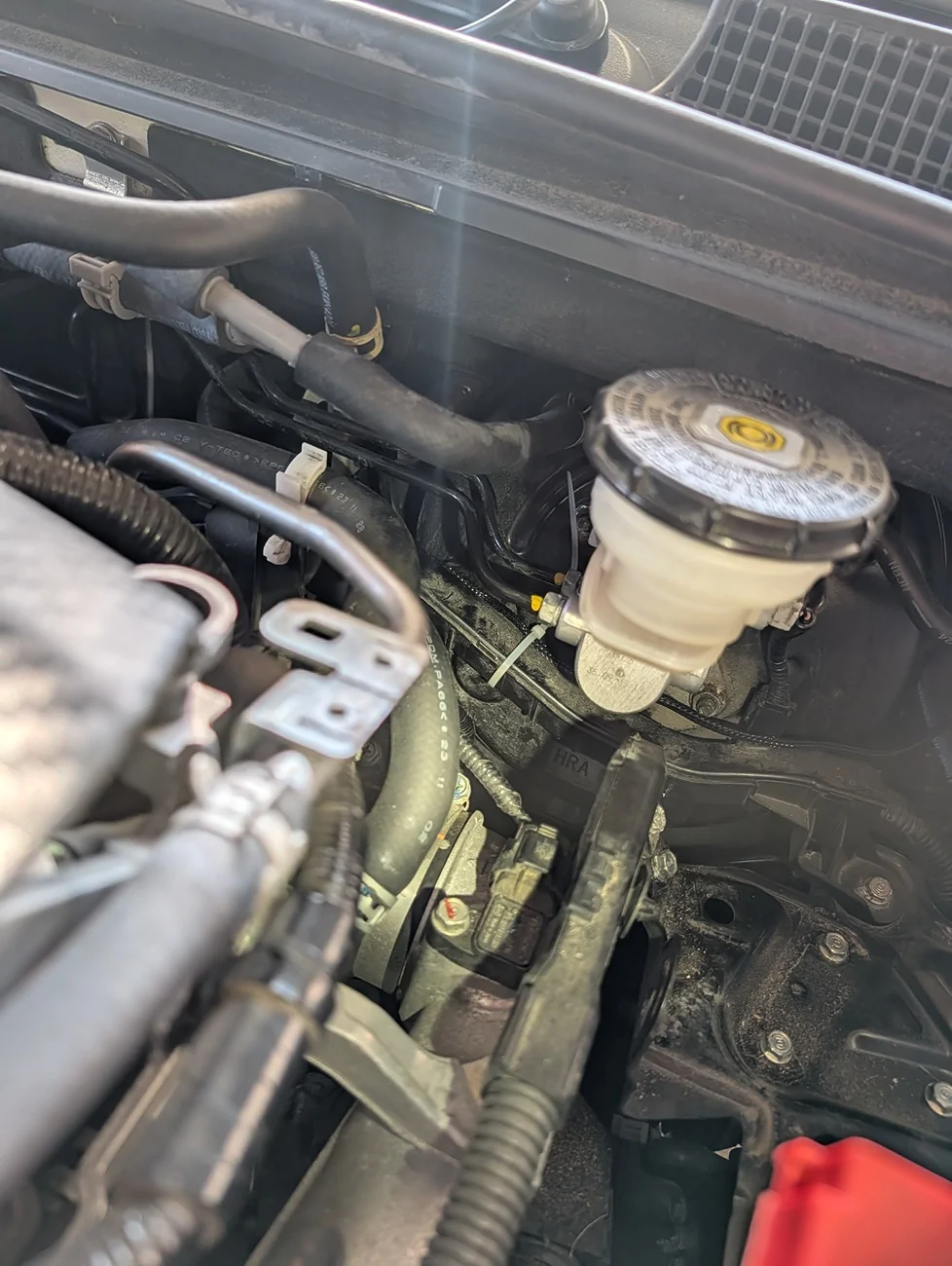 11th Gen Honda Civic Rated R build ziptied