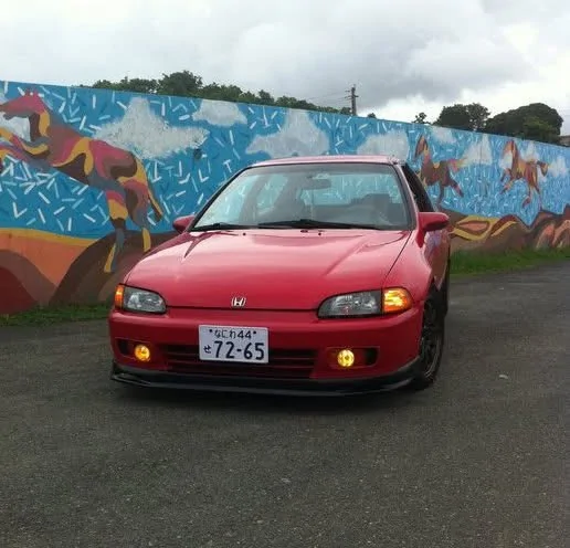 11th Gen Honda Civic Mikstore fog lights IMG_5404