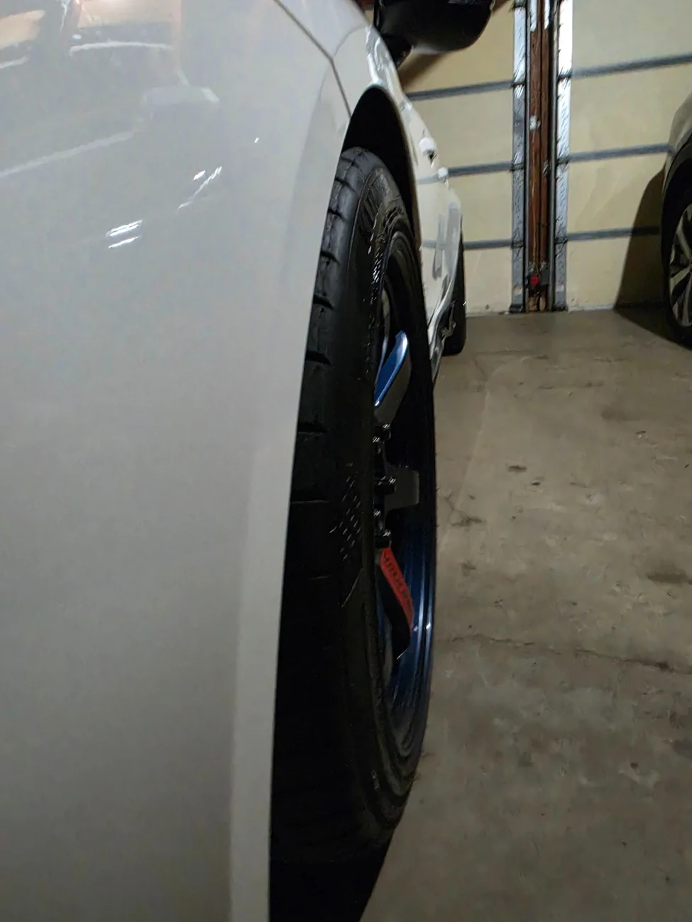 11th Gen Honda Civic FT 5x120 18x9.5 +38 Mag blue TE37 for white ones 20260416_192942