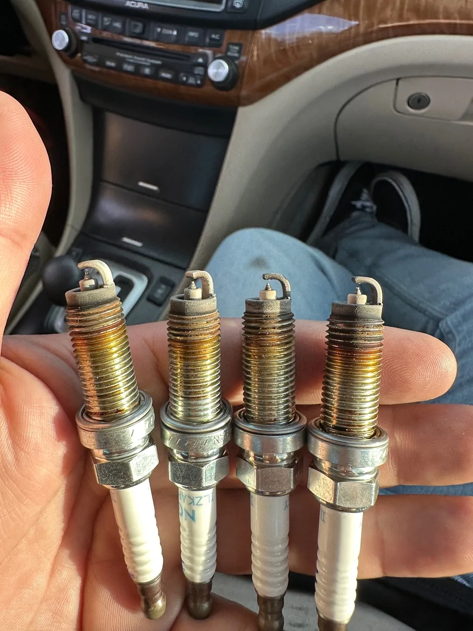 11th Gen Honda Civic Spark plug condition? IMG_0576
