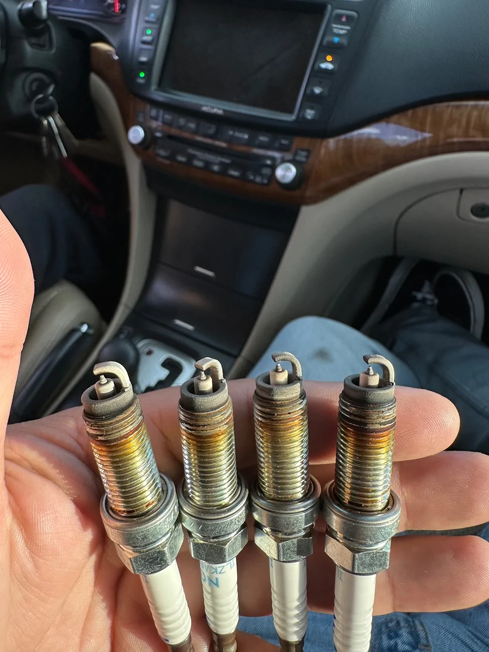 11th Gen Honda Civic Spark plug condition? IMG_0574