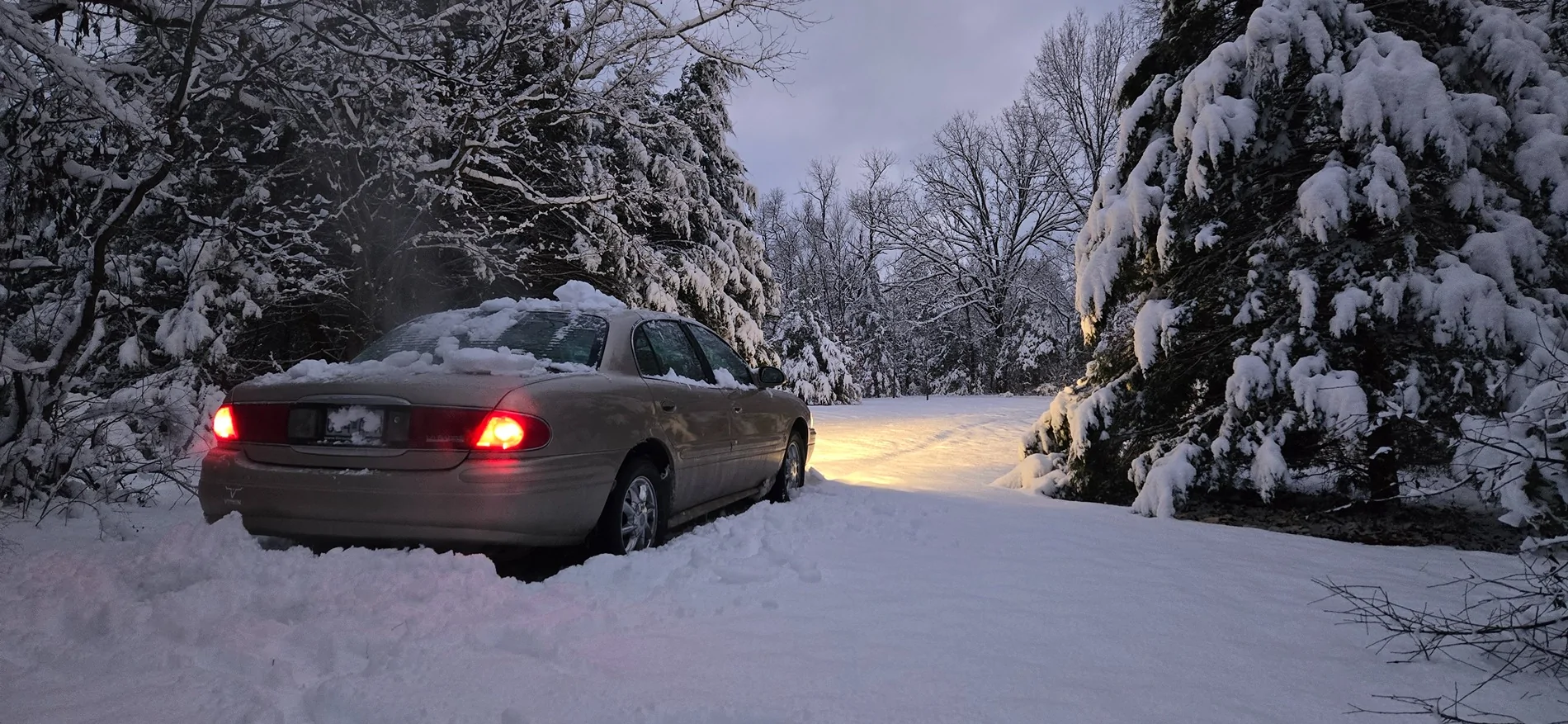 11th Gen Honda Civic Best advice for factory size all season tires? 20250110_173952